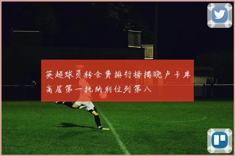 英超球员转会费排行榜揭晓卢卡库高居第一托纳利位列第八